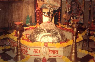 Bhimashankar Temple lingam