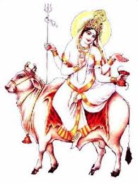 goddess shailputri pictures photo gallery