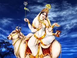 goddess shailputri pictures image gallery