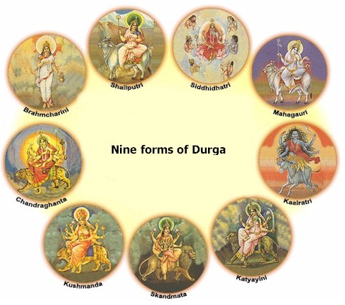 nine forms of durga devi